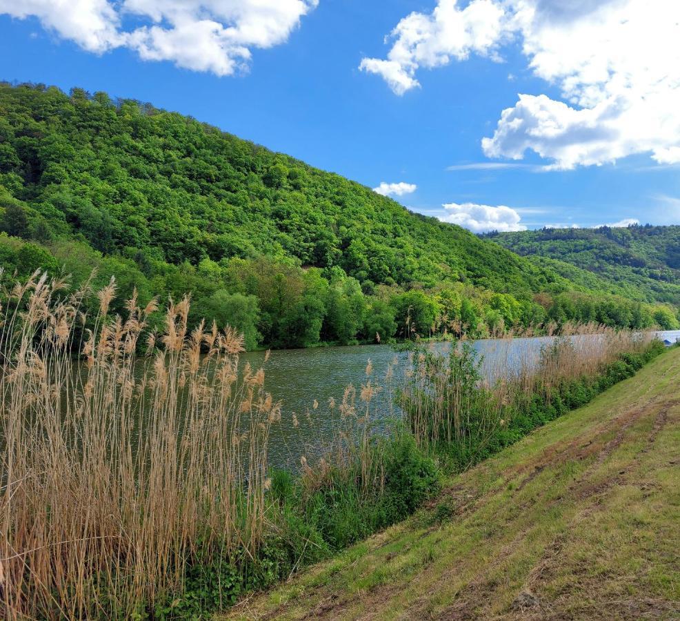 Zum Stausee Bad Münster am Stein-Ebernburg Exteriör bild